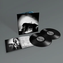 Vinyl SINGS REIGN REBUILDER