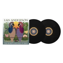 Vinyl SECRET LANGUAGE OF BIRDS