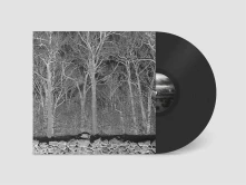 Vinyl SUNSHINE AND BALANCE B...