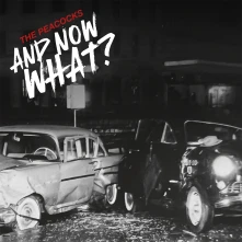 CD AND NOW WHAT?