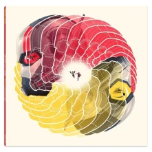 Vinyl ANT-MAN AND THE WASP