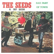 The Seeds, CD SEEDS - BAD PART OF TOWN