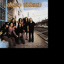 Vinyl (PRONOUNCED 'L H-'N RD