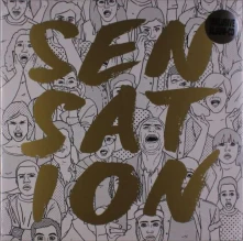 Vinyl Sensation
