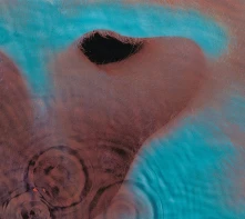 CD Meddle