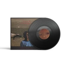 Vinyl Small Changes