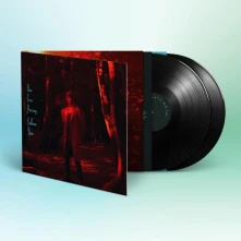 Vinyl ENDLESS RAIN