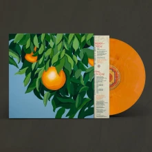Vinyl FOR THE FIRST TIME, AGAIN