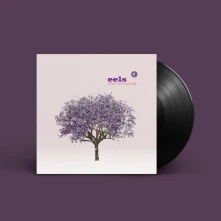 Eels, Vinyl TOMORROW MORNING
