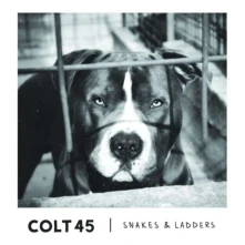 CD SNAKES & LADDERS