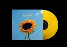 Vinyl JOY IN SHORT MOMENTS
