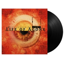 Vinyl Soul Searching Sun