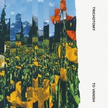 CD TRICHOTOMY - TO VANISH