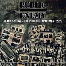 Vinyl Black Sky over the Projects: Apartment 2025