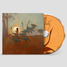 CD LES CHANTS DE L'AURORE