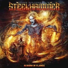 CD ST... - REBORN IN FLAMES