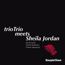 Vinyl TRIO TRIO MEETS SHEILA...
