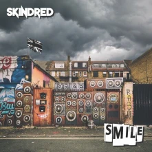 Vinyl SMILE