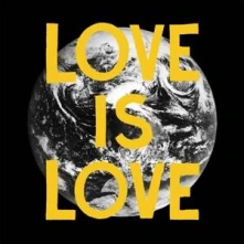 Vinyl LOVE IS LOVE
