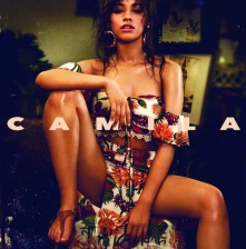 Vinyl Camila
