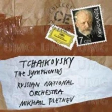 CD PLETNEV/RUSKY NARODNI ORCH - SYMFONIE 1-6/SYMF.BASNE