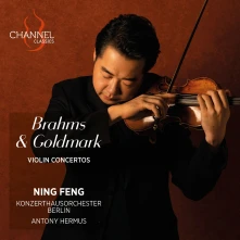CD BRAHMS & GOLDMARK:...