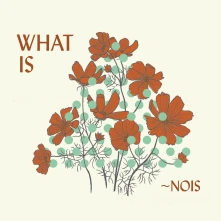 CD WHAT IS ~NOIS?