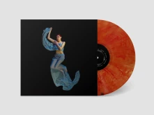 Vinyl HUMAN HUMAN