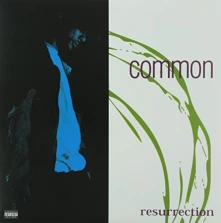 Vinyl Resurrection