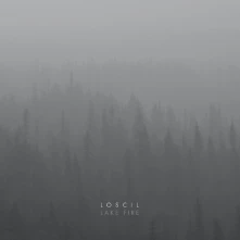 Vinyl LAKE FIRE