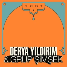 Vinyl YILDIRIM, DERYA & GRUP SIMSEK - DOST 2