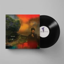 Vinyl WE'VE BEEN GOING ABOUT THIS ALL WRONG