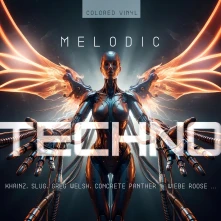 Various Artists, Vinyl MELODIC TECHNO 2026