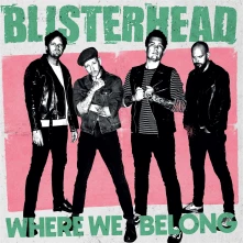 Vinyl WHERE WE BELONG