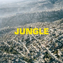 Vinyl JUNGLE