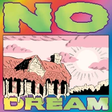 Vinyl NO DREAM
