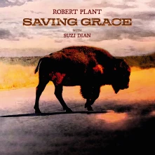 CD SAVING GRACE