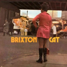 CD BRIXTON CAT