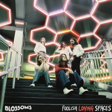 Blossoms, CD FOOLISH LOVING SPACES