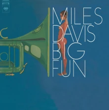 Vinyl Big Fun
