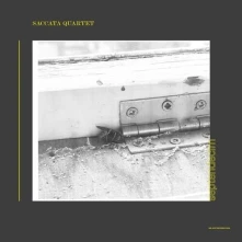 Vinyl SEPTENDECIM