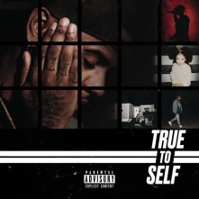 Vinyl Tiller, Bryson - True To Self