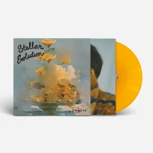 Vinyl STELLAR EVOLUTION