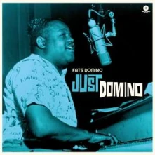 Vinyl Just Domino