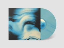 Vinyl FROM WHAT WAS WILL GROW A FLOWER