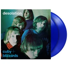Vinyl DESOLATION