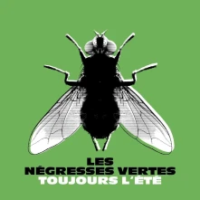 Les Négresses Vertes, Vinyl TOUJOURS L'ETE