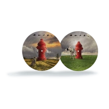 Rush, Vinyl Signals (40th Anniversary Edition) (Picture Vinyl)
