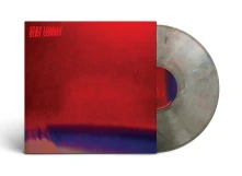 Blood Red Shoes, Vinyl STAY LONELY