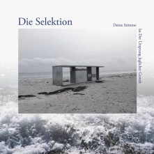 Vinyl DEINE STIMME IST DER URSPRUNG JEGLICHER GEWALT